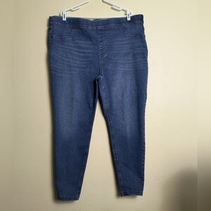 Terra & Sky Women's Blue Jeggings Pull On 3x (24w-26W